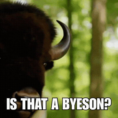 Close Up Bison Is That A Byeson GIF