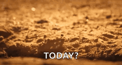Close-Up Bread Saying Today GIF