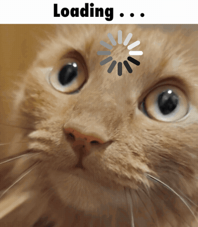 Close-Up Cat Face Loading Spinner GIF