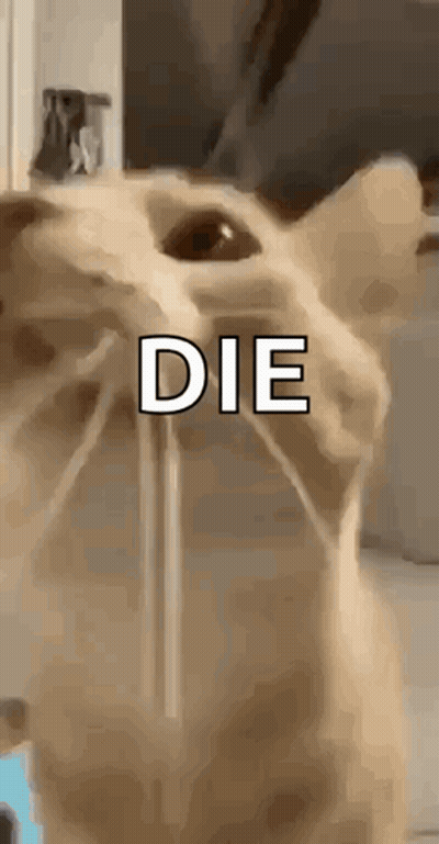 Close Up Cat Face Saying Die GIF