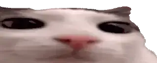 Mirada De Reojo Stickers