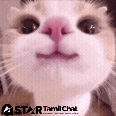 Close-Up Cat Face With Star Tamil Chat Logo GIF