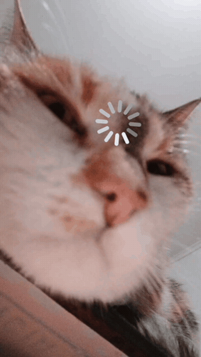 Close Up Cat Face With White Circle GIF