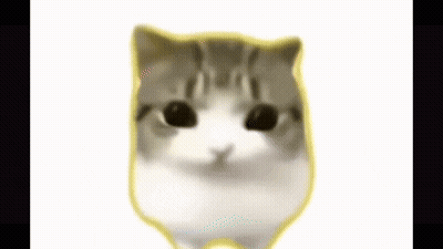 Close Up Cat Face With Yellow Border