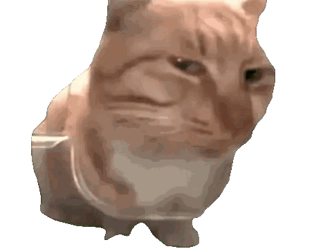 Close Up Cat Looking At Camera Sticker