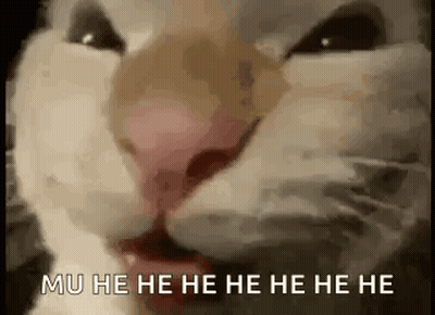 Close Up Cat Mu He He He He He He GIF