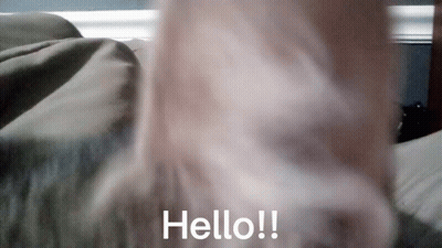 Close Up Cat Nose Saying Hello GIF
