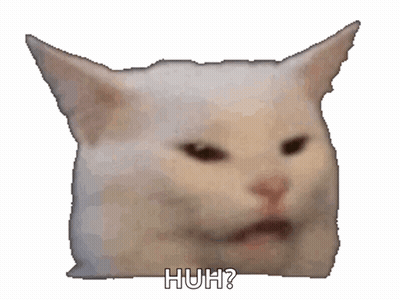 Close Up Cat Saying Huh GIF