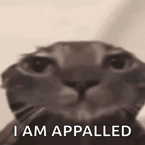 Close Up Cat Saying I Am Appalled GIF