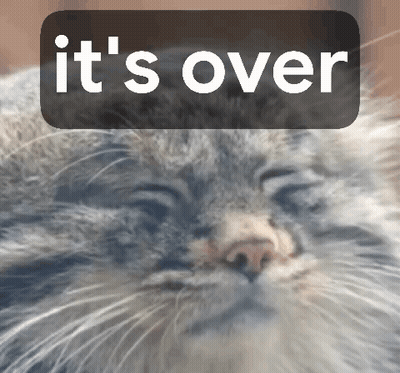 Close Up Cat Saying It's Over GIF