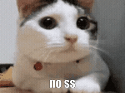 Close Up Cat Saying No Ss GIF