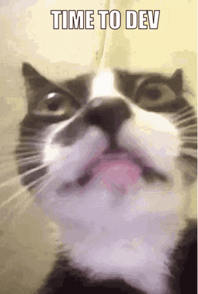 Close Up Cat Saying Time To Dev GIF