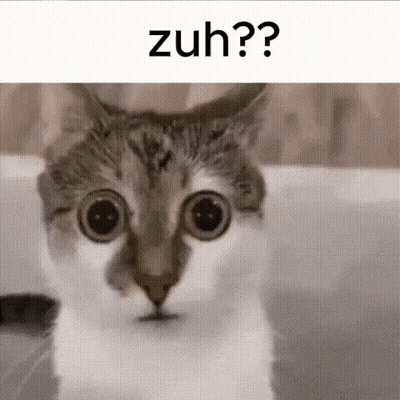 Close Up Cat Saying Zuh? GIF