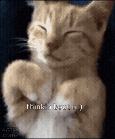 Close Up Cat Thinkin Bout U GIF