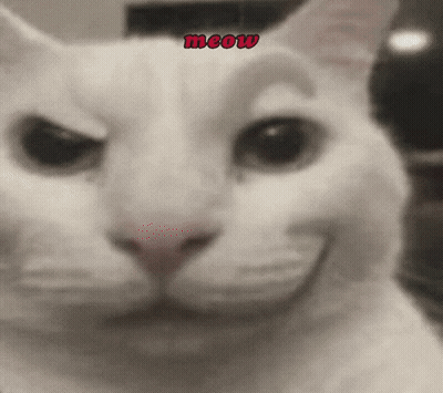 Close Up Cat With Red Meow GIF