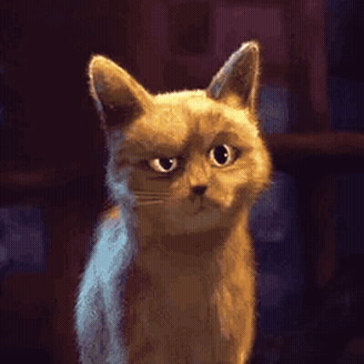 Close Up Cat With Serious Look GIF