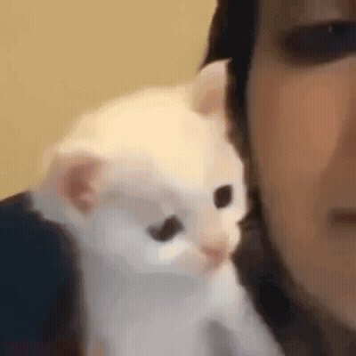 Close Up Cat With Speech Bubble GIF