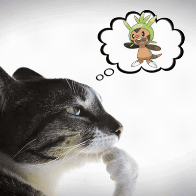 Close-Up Cat With Startamilchat.in GIF