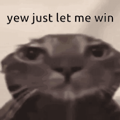 Close Up Cat Yaw Just Let Me Win GIF