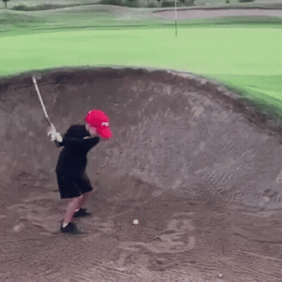 Close Up Cricket With Chirp GIF