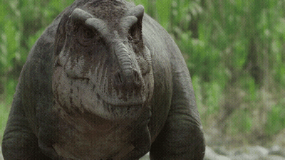 Close Up Dinosaur Looking At Camera With Trees GIF