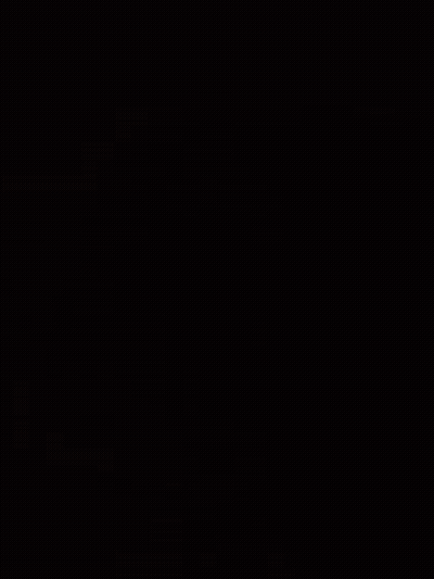 Close Up Dog Face GIF