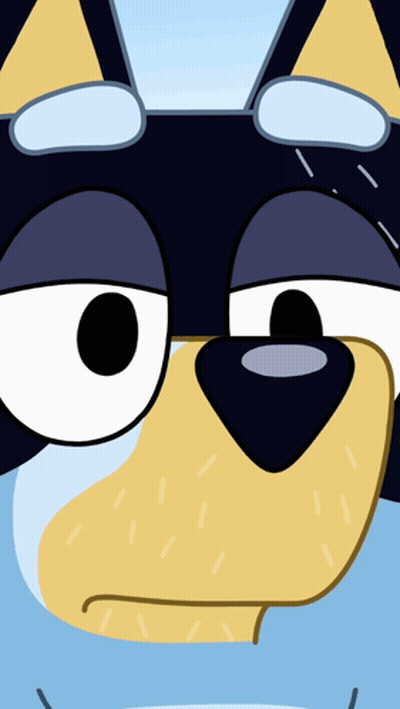Close Up Dog Face With Blue Background GIF