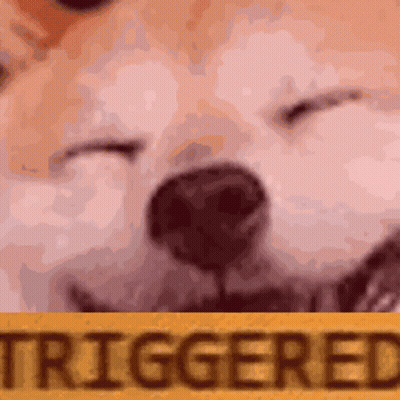 Close Up Dog Face With Triggered Background GIF