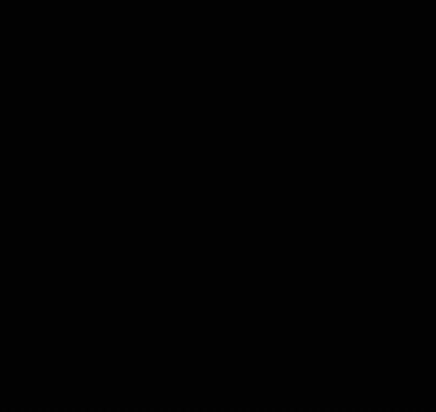 Close Up Dog Looking At Camera GIF