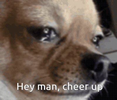 Close Up Dog Saying Hey Man Cheer Up GIF