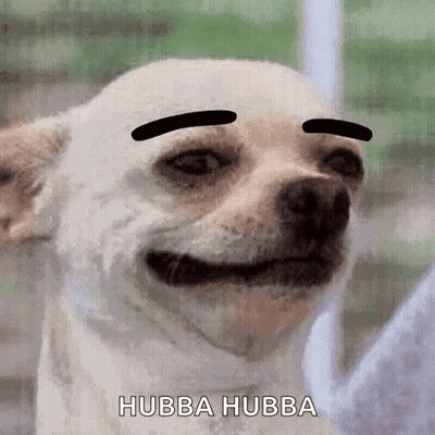 Close Up Dog With Drawn Mustache GIF