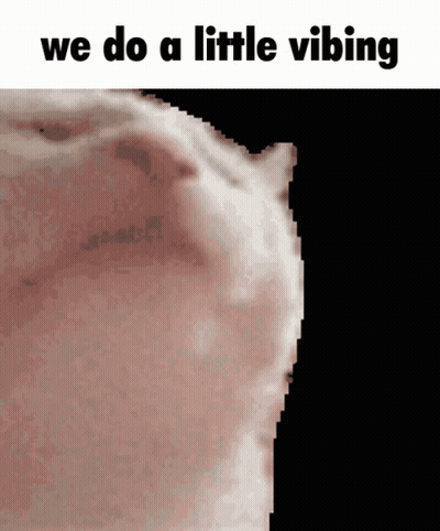 Close Up Face We Do A Little Vibing GIF