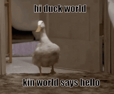Close Up Face With Blue Border GIF