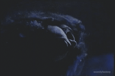 Close Up Face With Eyes Closed In Dark Room GIF