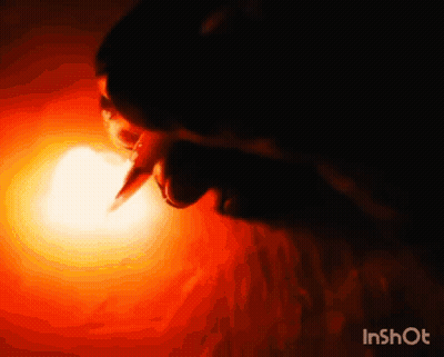Close-Up Face With Red Light Behind GIF
