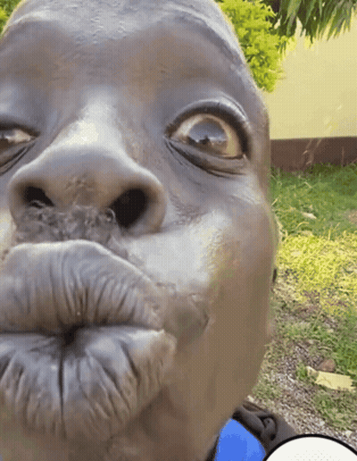 Close Up Face With Speech Bubble GIF