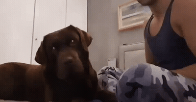 Close Up Face With Sun Through Window GIF