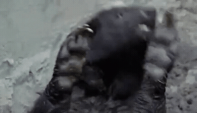 Close Up Foot On Rock In Water GIF