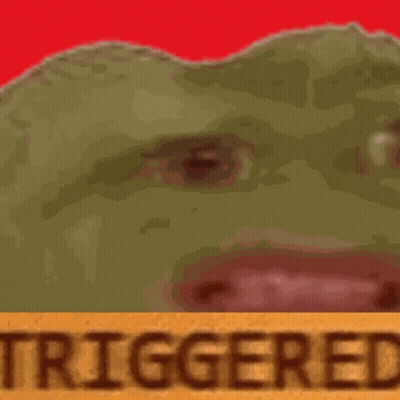 Close Up Frog Face With Triggered GIF
