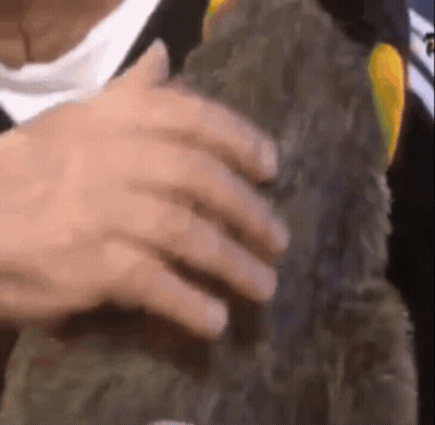 Close Up Hand Holding Object GIF
