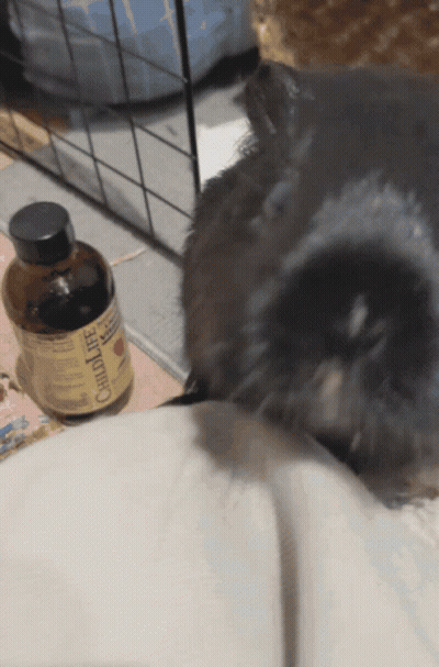 Close Up Man Face Pepe191 GIF