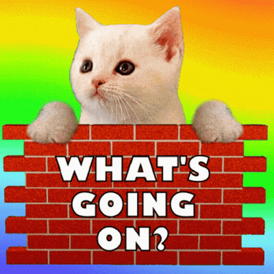 Close Up Man Face Saying What's Going On GIF