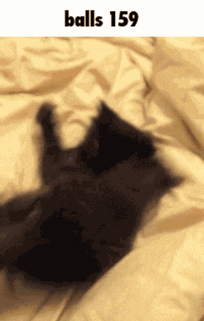 Close Up Man's Face Luma Logo GIF