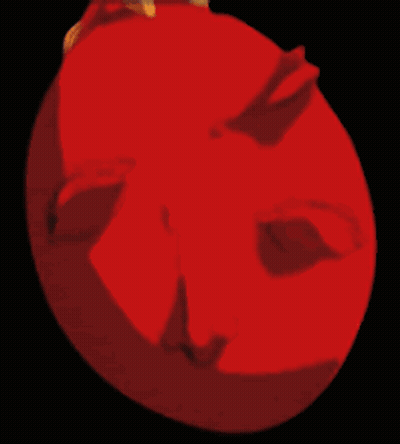 Close Up Man With Blood From Eyes GIF