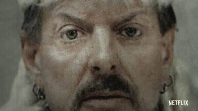 Close Up Man With Mustache GIF