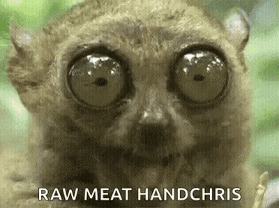 Close Up Monkey Big Eyes Raw Meat Handchris GIF