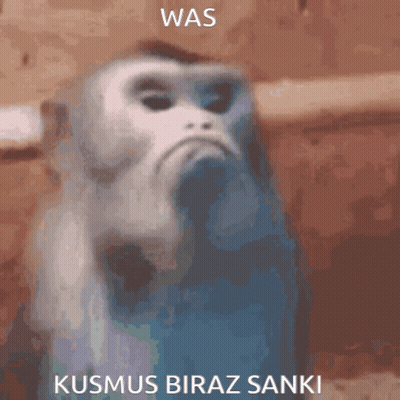 Close Up Monkey Face Was Kusmus Biraz Sanki GIF