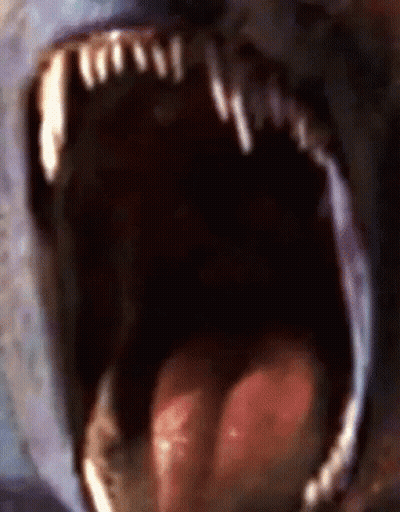 Close Up Mouth With Tongue Out GIF