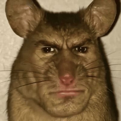 Close Up Of Angry Rat Face GIF