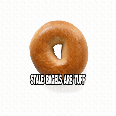 Close Up Of Bagel Saying Stale Bagels Are Tuff GIF